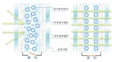 분극입자 방식 원리