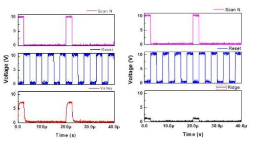 스캔 펄스 및 reset 펄스와 출력파형, 왼쪽은 비접촉시 오른쪽은 접촉시이다