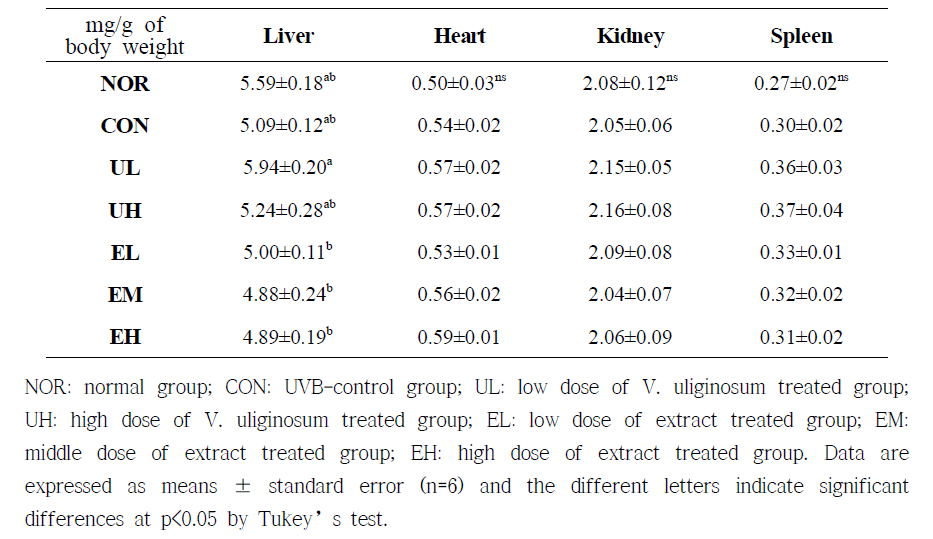 Effect of Vaccinium uliginosum berry on organ weight per body weight in UVB-irradiated mouse