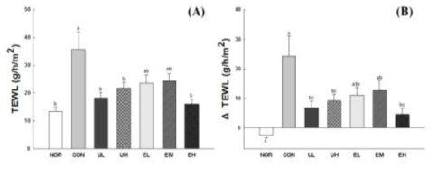 Effect of Vaccinium uliginosum berry on TWEL (A) and TWEL change (B) in normal and UVB-irradiated mouse skin. NOR: normal group; CON: UVB-control group; UL: low dose of V. uliginosum treated group; UH: high dose of V. uliginosum treated group; EL: low dose of extract treated group; EM: middle dose of extract treated group; EH: high dose of extract treated group. Data are expressed as means ± standard error (n=6) and the different letters indicate significant differences at p<0.05 by Tukey’s test