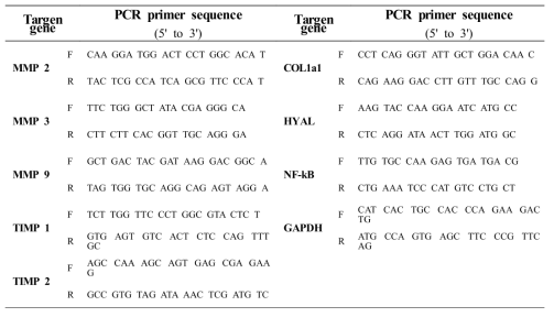 Oligonucleotide primer used for PCR in this study