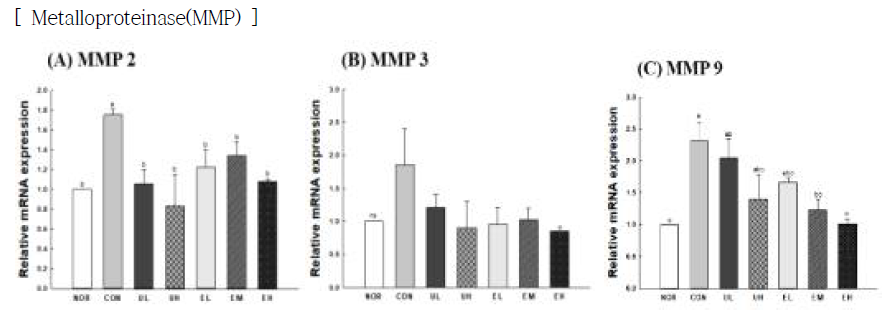 Effect of Vaccinium uliginosum berry on mRNA expression of MMPs in UVB-irradiated mouse skin. NOR: normal group; CON: UVB-control group; UL: low dose of V. uliginosum treated group; UH: high dose of V. uliginosum treated group; EL: low dose of extract treated group; EM: middle dose of extract treated group; EH: high dose of extract treated group. Data are expressed as means ± standard error (n=6) and the different letters indicate significant differences at p<0.05 by Tukey’s test