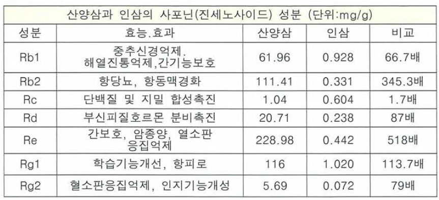 산양삼 성분 분석. 내용출처:과학기술분석센터