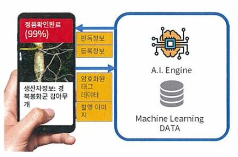 산양사 판별 서비스디자인