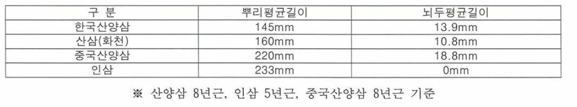 산양삼, 중국산양삼，인삼 뿌리 및 뇌두의 평균 크기