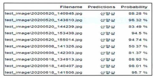 CNN2(VGG16) 시험데이터(산양삼) 판단결과(1)