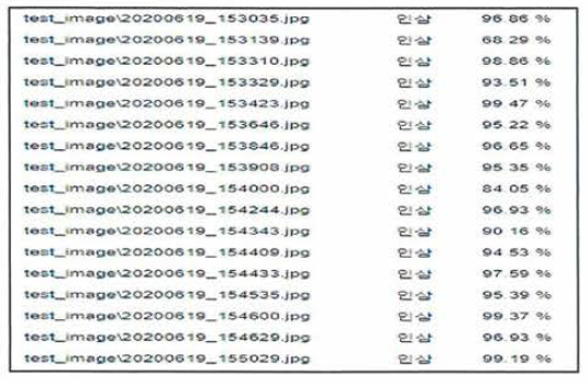 CNN2(VGG16) 시험 데이터(인삼) 판단 결과(2)