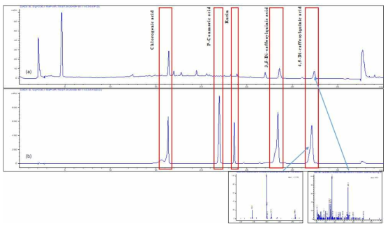 돼지감자 분무건조 (a), phenolic compound mix STD (b)