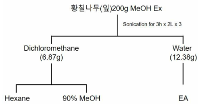 황칠나무(잎) 추출 및 극성별 용매 분획 도식