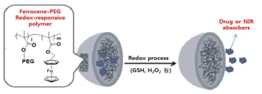 페로센 나노캡슐을 활용한 생리활성물질 방출 예시