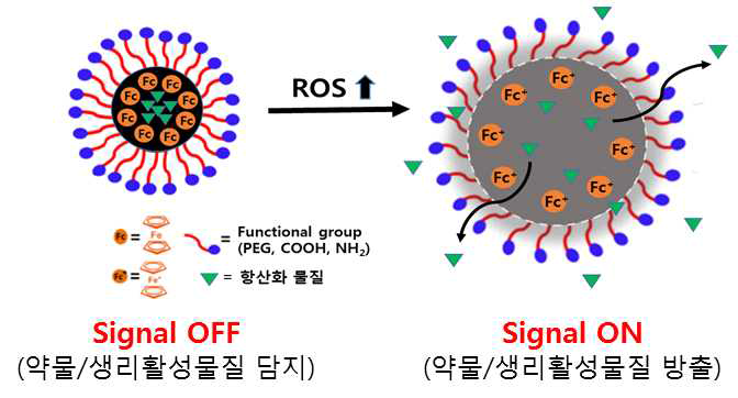 활성산소 민감성 페로센 나노캡슐 모식도