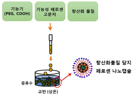 항산화물질 담지 페로센 나노캡슐 제조 모식도