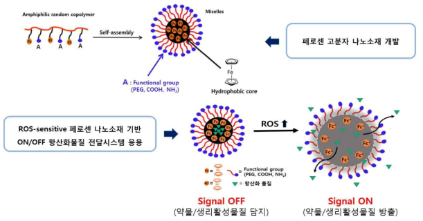 활성산소 민감성 나노캡슐을 활용한 항산화물질 방출 제어 모식도