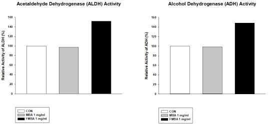 머루포도착즙액과 머루포도분말에 의한 ADH와 ALDH 활성 변화