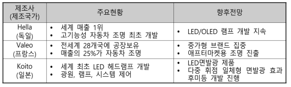 해외 선진사 현황