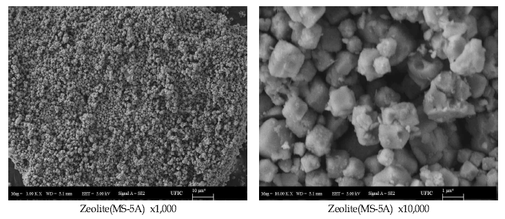 Zeolite(MS-5A) FE-SEM image