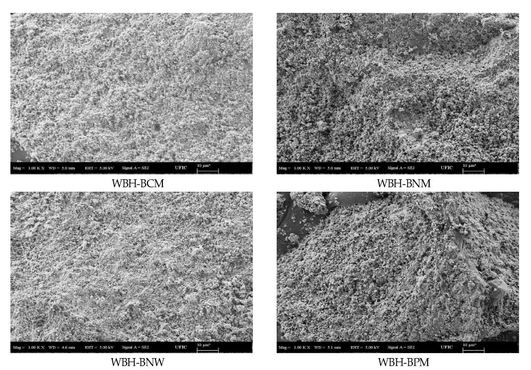 WBH series(zeolite, 금속 담지) FE-SEM image(1,000배)