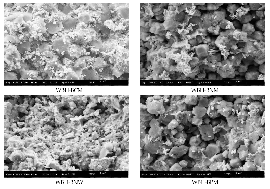 WBH series(zeolite, 금속 담지) FE-SEM image(10,000배)