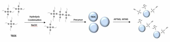 TEOS 전구체 형성 및 표면 개질에 의한 아민기 TEOS 실리카 형성 모식도
