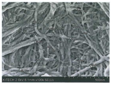 키토산 나노 섬유의 FE-SEM 이미지와 직경 분포