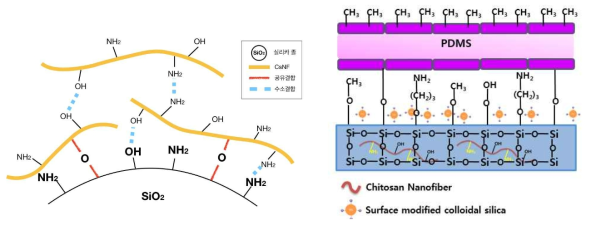 키토산 나노 섬유가 도입된 아민-리치 유-무기 복합 나노 세라믹 코팅액 (左), 기능성이 부여된 아민-리치 유-무기 복합 나노 세라믹 코팅액 (右)