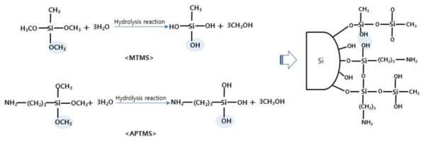 Amine rich 유기-무기 복합체 반응 모식도