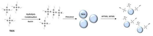 TEOS 전구체 형성 및 표면개질에 의한 아민 실리카 전구체 형성 모식도