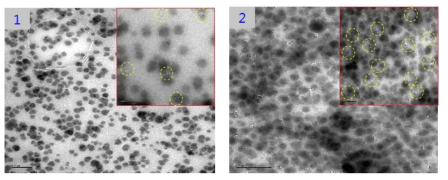 아민-리치 실리카 복합체 TEM 이미지 : 1) 아민-리치 실리카 복합체 (10wt%), 2) 아민-리치 실리카 복합체 (90wt%)