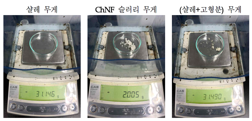 ChNF 함량 측정 실험 사진