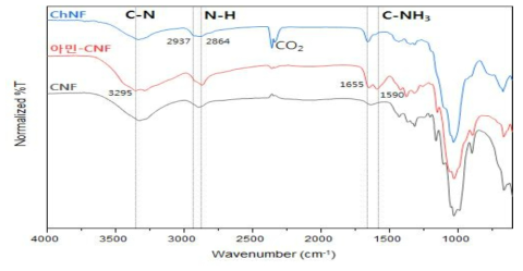 CNF, 아민-CNF, ChNF의 FT-IR 분석 결과