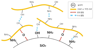 아민기 천연 고분자 나노섬유-세라믹 간 sol-gel 반응 모식도
