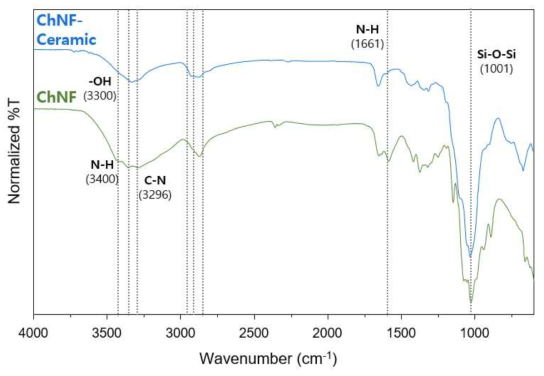 ChNF와 ChNF-세라믹의 FT-IR 분석 결과