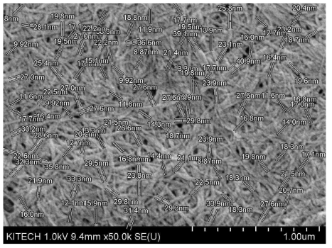 키토산나노파이버 SEM 이미지