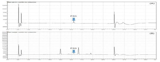 HPLC Chromatogram of Peonidin-3-O-glucoside chloride standard (A), and sample (B) at 520nm