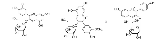cyanidin-3-glucoside, pelargonidin-3-glucose, peonidin-3-glucose의 구조