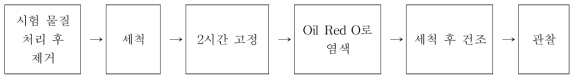 Oil Red O protocol