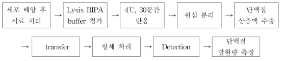 CPT protocol