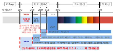 자외선 분류 및 효과