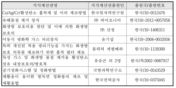 국내 지식재산권 현황