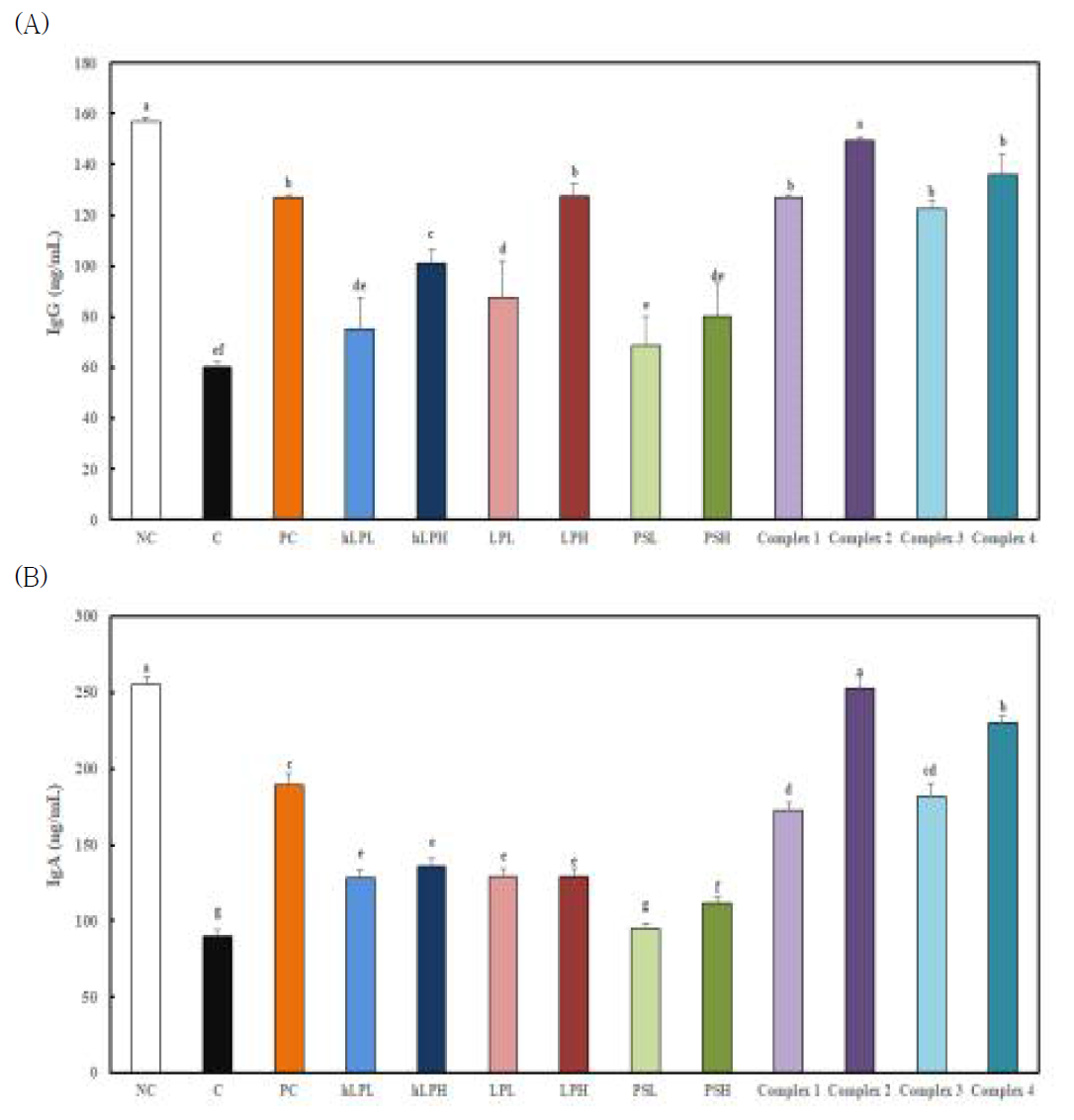 Effects of Lactobacillus and polysaccharide on serum immunoglobulin (IgG, IgA, IgE) in C57BL/6M mice with or without induced decreased immune response by forced swimming exercise. (A) IgG (B) IgA. *NC, Normal control; C, induced decreased immune response by forced swimming exercise (FSE); Positive control, induced decreased immune response by FSE with oral intake of beta-glucan 100 mg/kg body weight; hLPL, induced decreased immune response by FSE with oral intake of heat treated-Lactobacillus 1×1010 CFU/day; hLPH, induced decreased immune response by FSE with oral intake of heat treated-Lactobacillus 1×1012 CFU/day; LPL, induced decreased immune response by FSE with oral intake of Lactobacillus 1×1010 CFU/day; LPH, induced decreased immune response by FSE with oral intake of 1×1012 CFU/day; PSL, induced decreased immune response by FSE with oral intake of polysaccharide 50 mg/day; PSH, induced decreased immune response by FSE with oral intake of polysaccharide 100 mg/day; Complex 1, induced decreased immune response by FSE with oral intake of heat treated-Lactobacillus 1×1010 CFU/day + polysaccharide 100 mg/day; Complex 2, induced decreased immune response by FSE with oral intake of heat treated-Lactobacillus 1×1012 CFU/day + polysaccharide 100 mg/day; Complex 3, induced decreased immune response by FSE with oral intake of Lactobacillus 1×1010 CFU/day + polysaccharide 100 mg/day; Complex 4, induced decreased immune response by FSE with oral intake of Lactobacillus 1×1012 CFU/day + polysaccharide 100 mg/day; Values are presented as mean ± standard deviation (n = 8), and different superscript letters indicate significance at P < 0.05