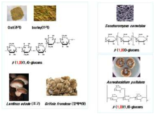 자연계에 존재하는 다당체 함유 천연소재의 종류