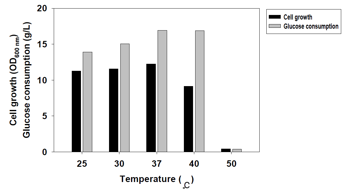 배양온도에 따른 Lactobacillus plantarum KKY-135 균주의 배양 결과