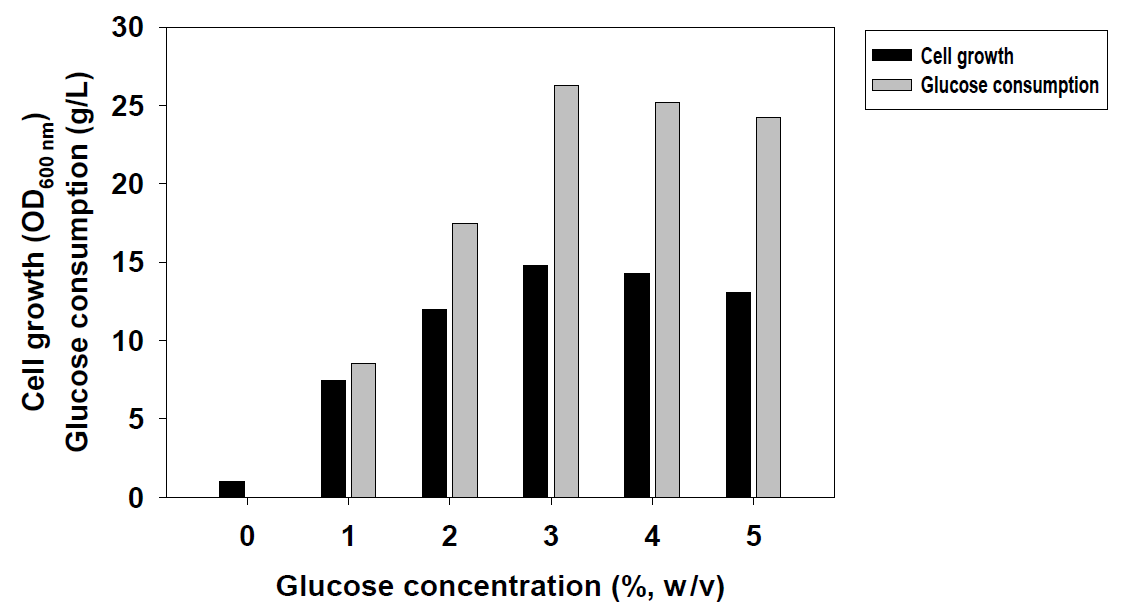 Glucose 농도에 따른 Lactobacillus plantarum KKY-135 균주의 배양 결과