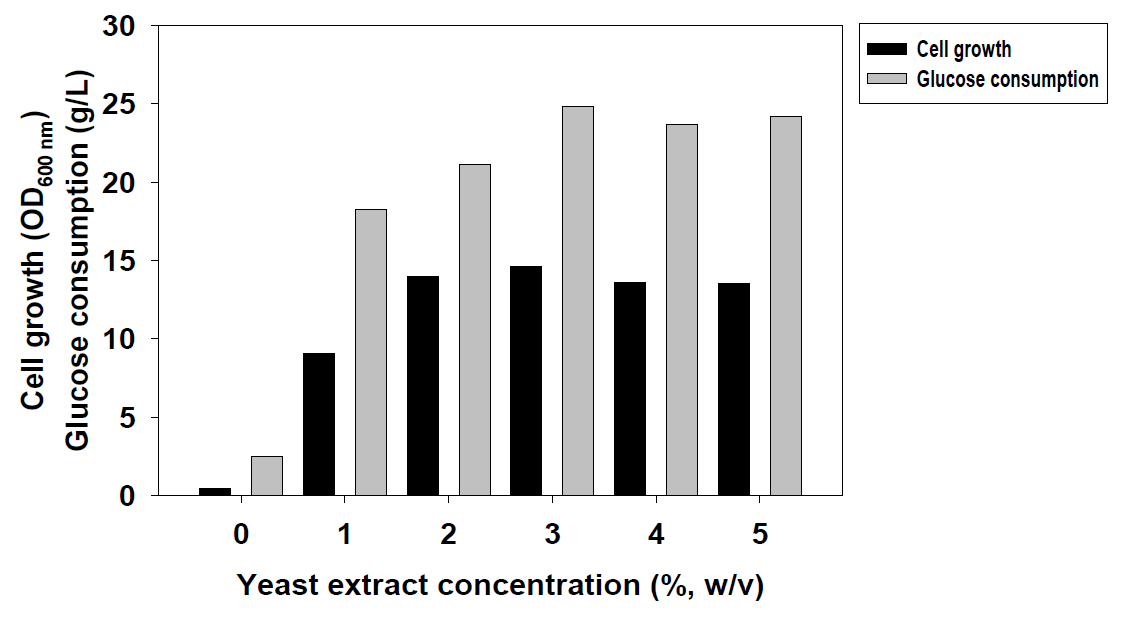 Yeast extract 농도에 따른 Lactobacillus plantarum KKY-135 균주의 배양 결과