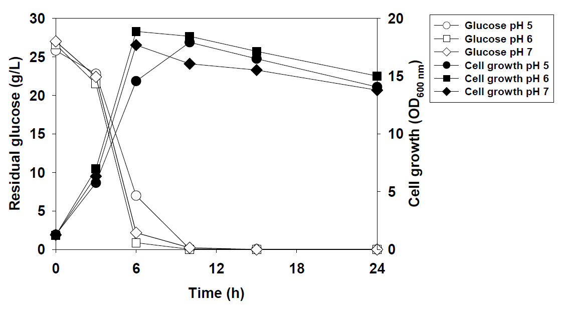 pH에 따른 Lactobacillus plantarum KKY-135 균주의 배양 결과