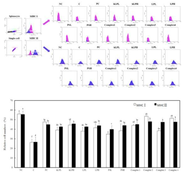 Effects of Lactobacillus and polysaccharide on the proportion of MHC Ⅰ and MHC Ⅱ in splenocytes prepared from C57BL/6M mice with or without induced decreased immune response by forced swimming exercise. *NC, Normal control; C, induced decreased immune response by forced swimming exercise (FSE); Positive control, induced decreased immune response by FSE with oral intake of beta-glucan 100 mg/kg body weight; hLPL, induced decreased immune response by FSE with oral intake of heat treated-Lactobacillus 1×1010 CFU/day; hLPH, induced decreased immune response by FSE with oral intake of heat treated-Lactobacillus 1×1012 CFU/day; LPL, induced decreased immune response by FSE with oral intake of Lactobacillus 1×1010 CFU/day; LPH, induced decreased immune response by FSE with oral intake of 1×1012 CFU/day; PSL, induced decreased immune response by FSE with oral intake of polysaccharide 50 mg/day; PSH, induced decreased immune response by FSE with oral intake of polysaccharide 100 mg/day; Complex 1, induced decreased immune response by FSE with oral intake of heat treated-Lactobacillus 1×1010 CFU/day + polysaccharide 100 mg/day; Complex 2, induced decreased immune response by FSE with oral intake of heat treated-Lactobacillus 1×1012 CFU/day + polysaccharide 100 mg/day; Complex 3, induced decreased immune response by FSE with oral intake of Lactobacillus 1×1010 CFU/day + polysaccharide 100 mg/day; Complex 4, induced decreased immune response by FSE with oral intake of Lactobacillus 1×1012 CFU/day + polysaccharide 100 mg/day; Values are presented as mean ± standard deviation (n = 8), and different superscript letters indicate significance at P < 0.05