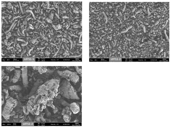 Li 반응시간 변화시 입자모양. (L0711-1)은 1시간 반응, (L0711-2)은 4시간반응, 좌측하단 (L0711-2)은 4시간 반응시료의 확대사진, ACM 밀링전
