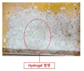 PPLi 3차 CMC-Li hydrogel