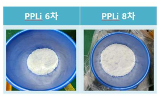 PPLi 6차 및 8차품