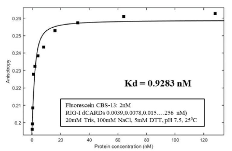 CBS-13-BPS와 RIG-I 결합에 따른 Fluorescence Anisotropy 변화